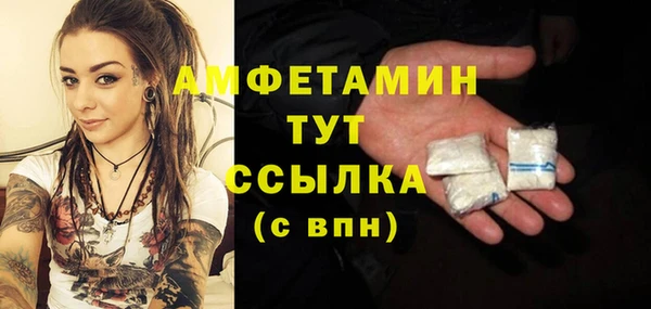 тгк Богородицк