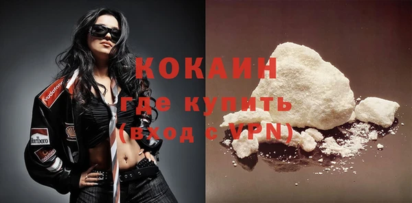 твердый Богданович