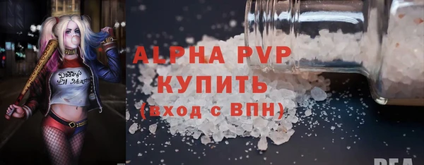 твердый Богданович