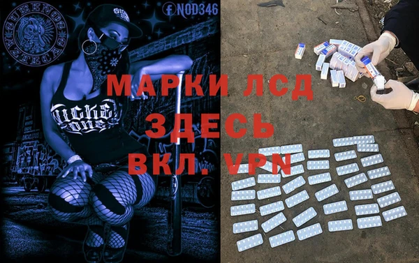 твердый Богданович