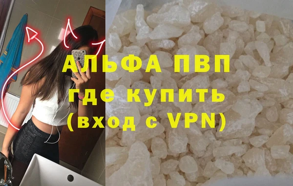 твердый Богданович