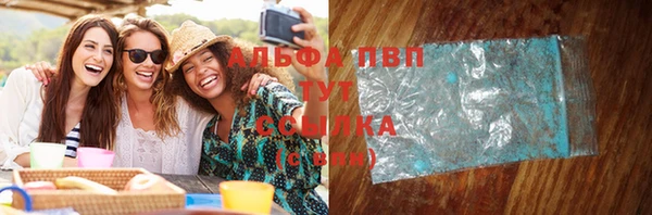 твердый Богданович