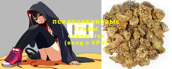 тгк Богородицк