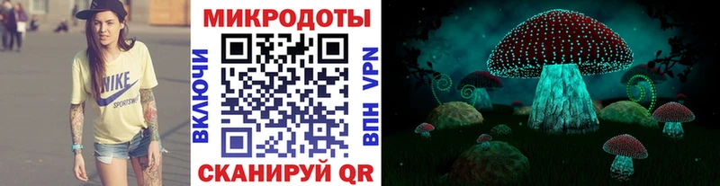блэк спрут зеркало  Чита  Галлюциногенные грибы Cubensis 